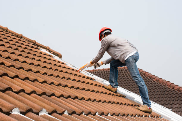 Best Metal Roofing Installation  in Wetumpka, AL